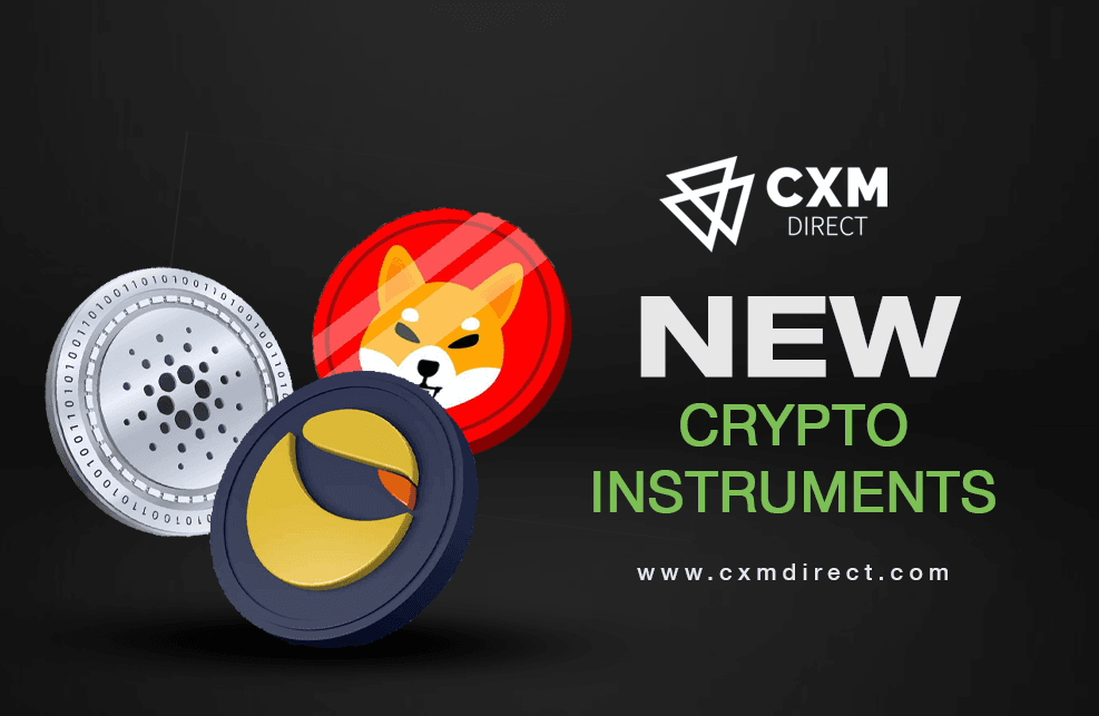 SEMUA MENUJU KE CRYPTO CRAZE DENGAN CXM DIRECT!